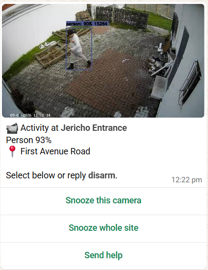 A WhatsApp message showing a person detected at a gate, with three buttons underneath